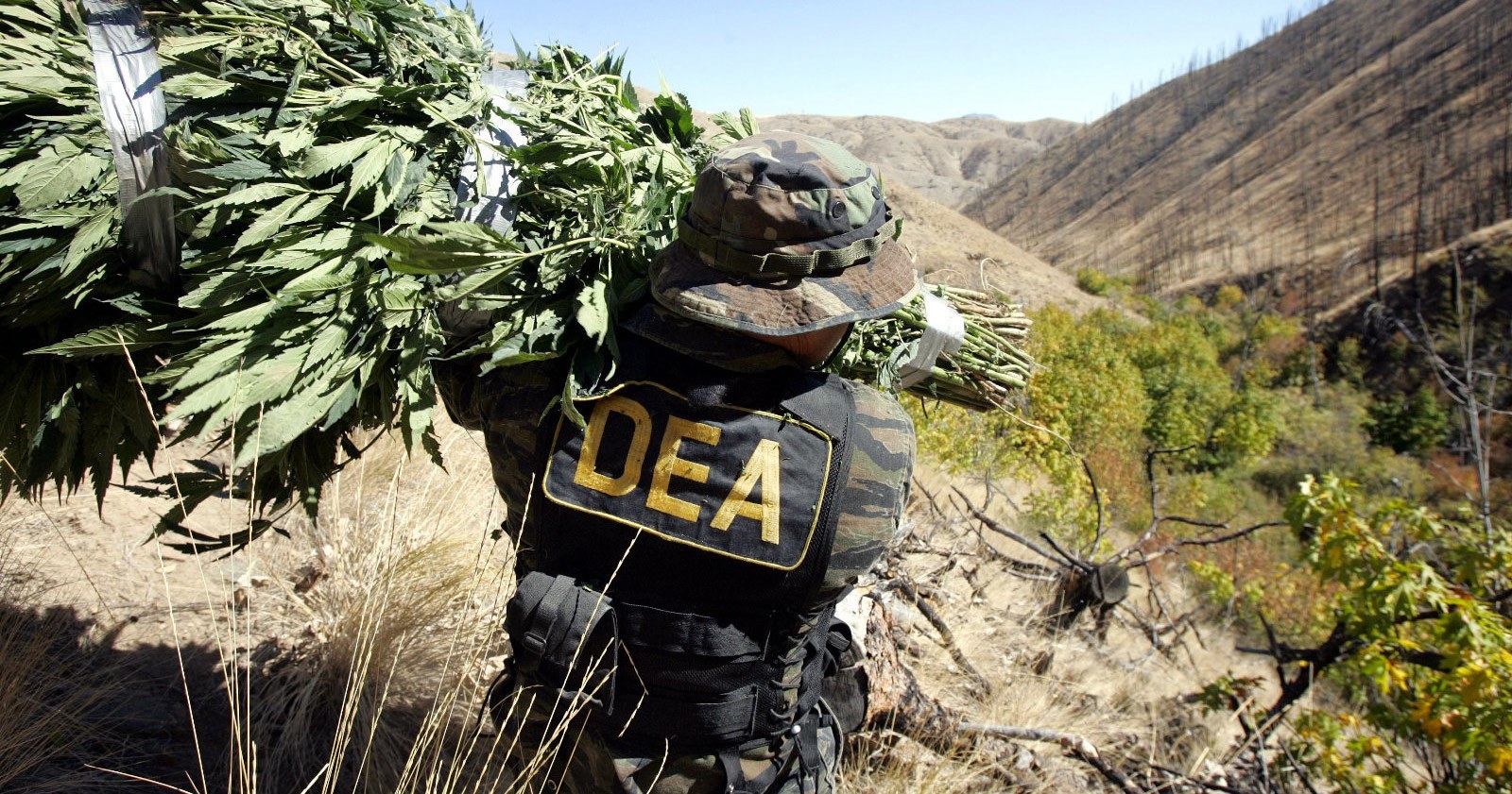 DEA.jpg